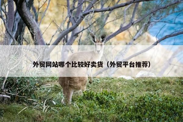 外贸网站哪个比较好卖货（外贸平台推荐）