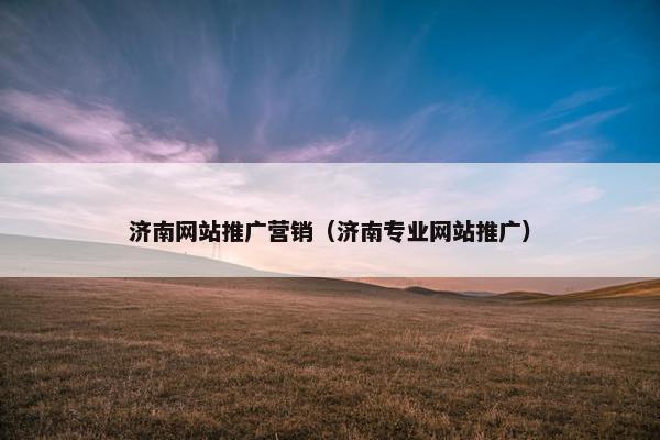 济南网站推广营销（济南专业网站推广）