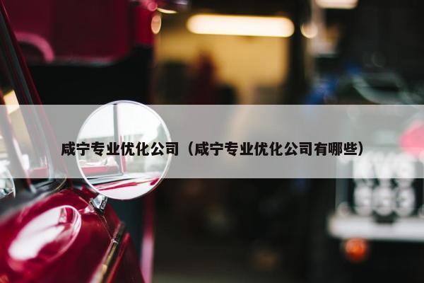 咸宁专业优化公司（咸宁专业优化公司有哪些）