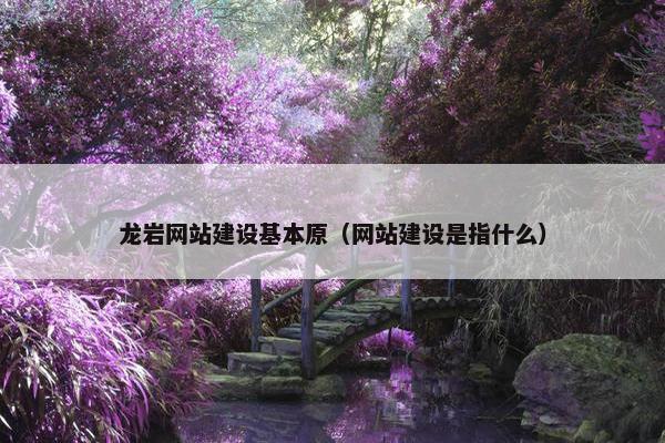 龙岩网站建设基本原（网站建设是指什么）