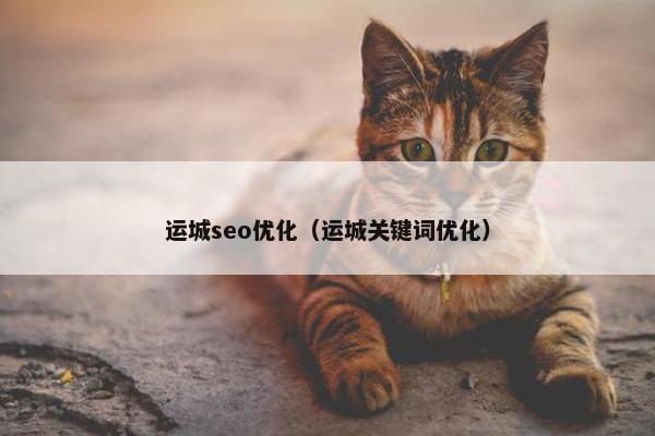 运城seo优化（运城关键词优化）