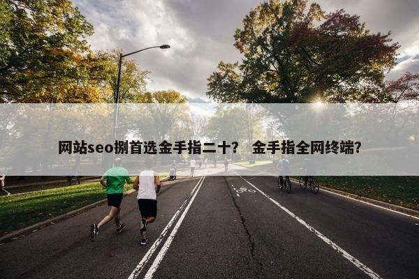 网站seo捌首选金手指二十？ 金手指全网终端？