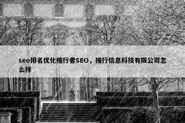 seo排名优化搜行者SEO，搜行信息科技有限公司怎么样