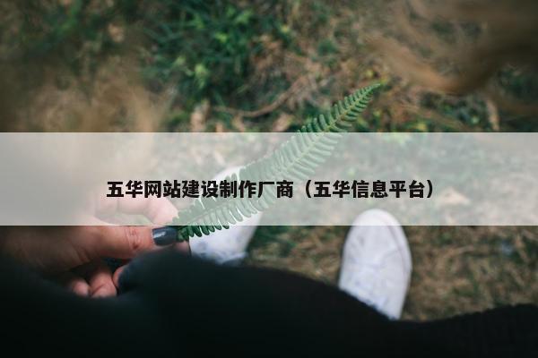 五华网站建设制作厂商（五华信息平台）