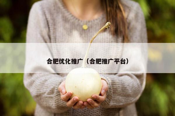 合肥优化推广（合肥推广平台）