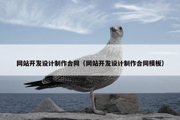 网站开发设计制作合同（网站开发设计制作合同模板）