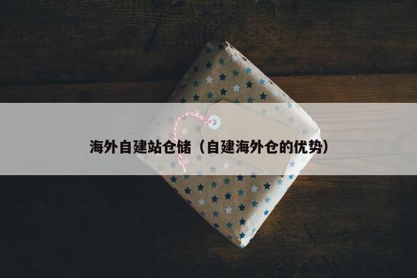 海外自建站仓储（自建海外仓的优势）