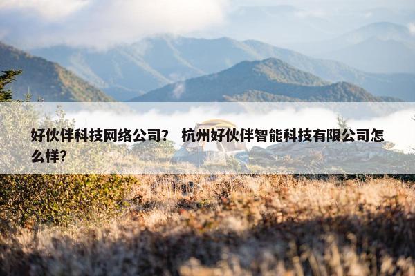 好伙伴科技网络公司？ 杭州好伙伴智能科技有限公司怎么样？