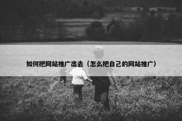 如何把网站推广出去（怎么把自己的网站推广）