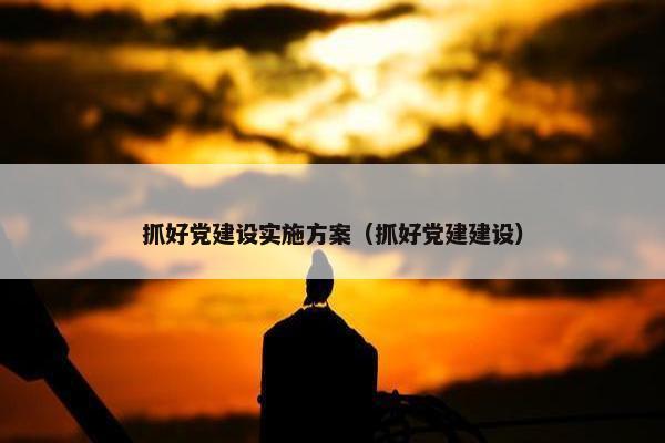 抓好党建设实施方案（抓好党建建设）