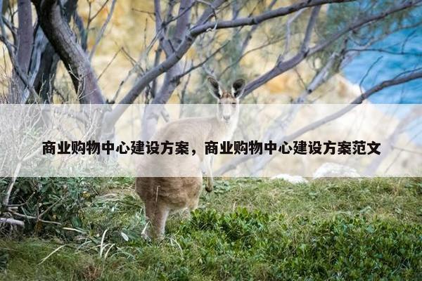 商业购物中心建设方案，商业购物中心建设方案范文