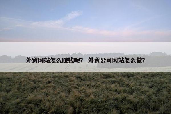 外贸网站怎么赚钱呢？ 外贸公司网站怎么做？