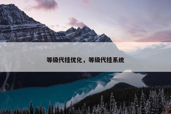 等级代挂优化，等级代挂系统