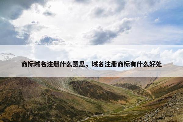 商标域名注册什么意思，域名注册商标有什么好处
