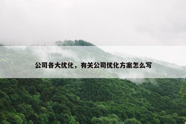 公司各大优化，有关公司优化方案怎么写