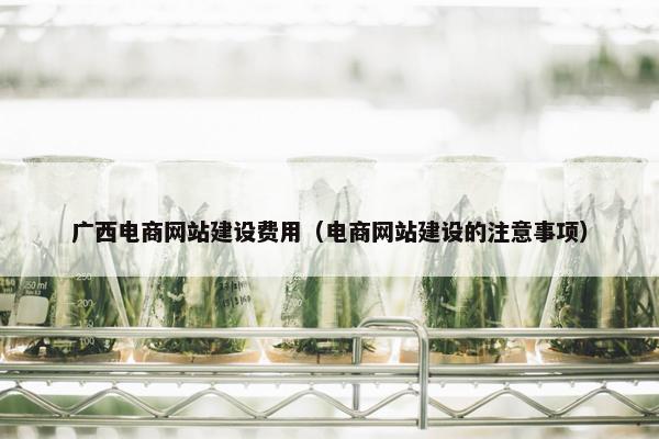 广西电商网站建设费用（电商网站建设的注意事项）