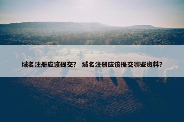 域名注册应该提交？ 域名注册应该提交哪些资料？