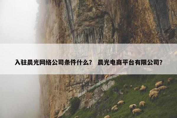 入驻晨光网络公司条件什么？ 晨光电商平台有限公司？
