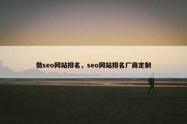 做seo网站排名，seo网站排名厂商定制
