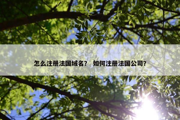怎么注册法国域名？ 如何注册法国公司？