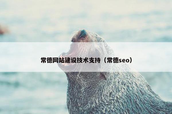 常德网站建设技术支持（常德seo）