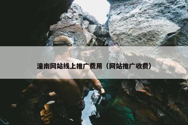 潼南网站线上推广费用（网站推广收费）