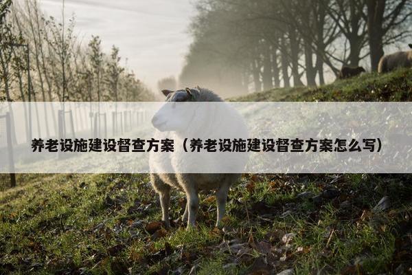 养老设施建设督查方案（养老设施建设督查方案怎么写）