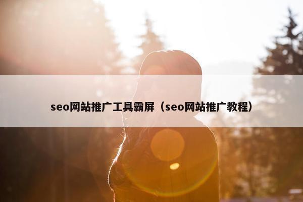 seo网站推广工具霸屏（seo网站推广教程）