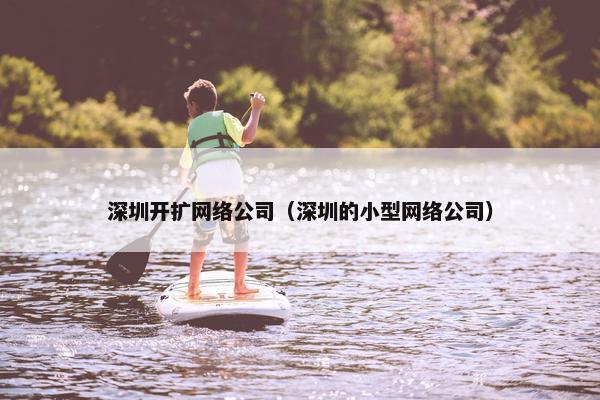深圳开扩网络公司（深圳的小型网络公司）