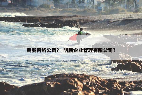 明鹏网络公司？ 明鹏企业管理有限公司？