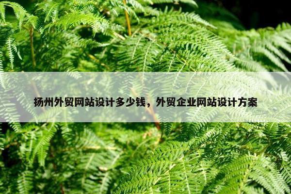 扬州外贸网站设计多少钱，外贸企业网站设计方案