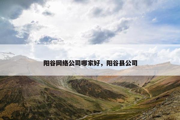 阳谷网络公司哪家好，阳谷县公司