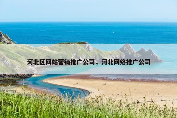 河北区网站营销推广公司，河北网络推广公司