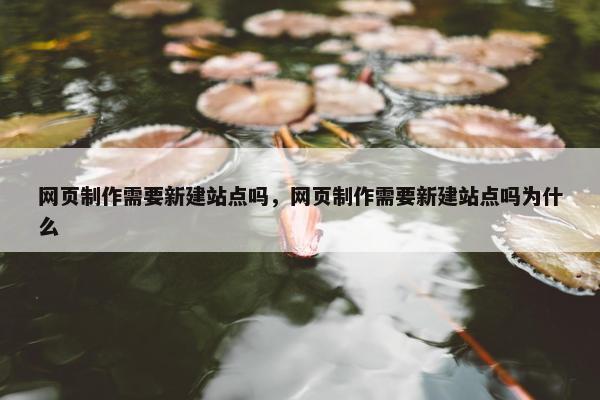 网页制作需要新建站点吗，网页制作需要新建站点吗为什么