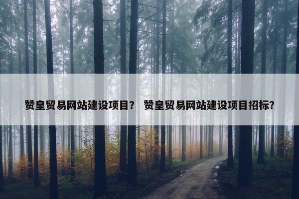 赞皇贸易网站建设项目？ 赞皇贸易网站建设项目招标？