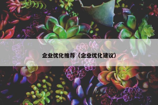 企业优化推荐（企业优化建议）