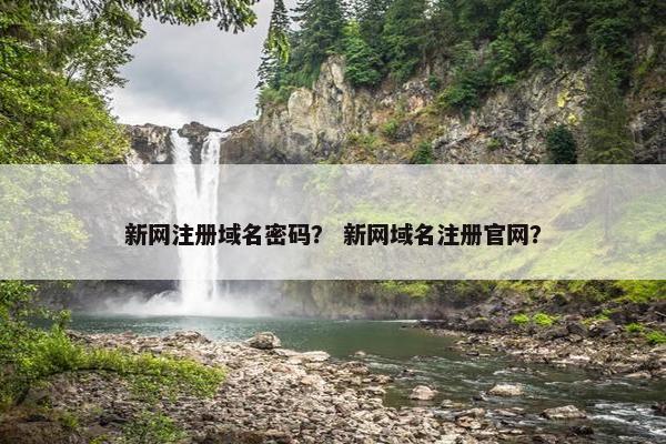 新网注册域名密码？ 新网域名注册官网？