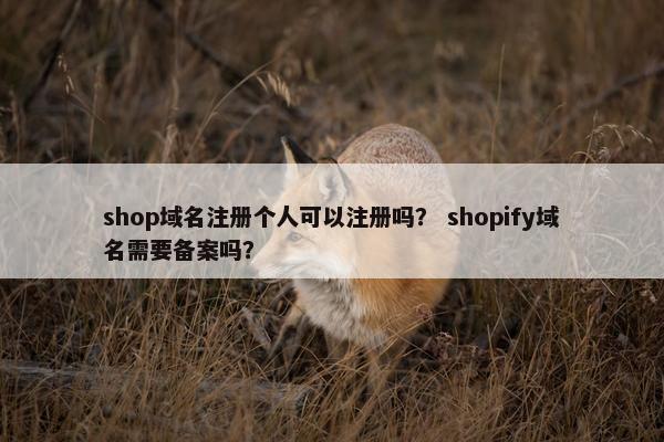 shop域名注册个人可以注册吗？ shopify域名需要备案吗？