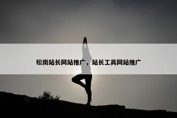 松岗站长网站推广，站长工具网站推广