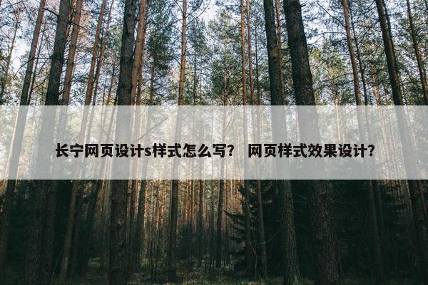 长宁网页设计s样式怎么写？ 网页样式效果设计？