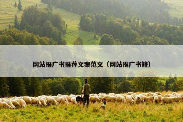 网站推广书推荐文案范文（网站推广书籍）