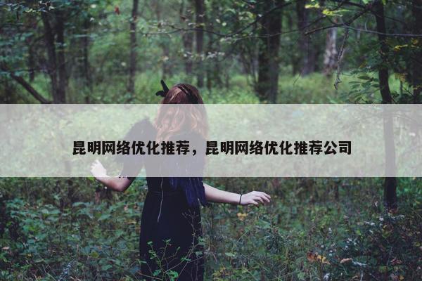 昆明网络优化推荐，昆明网络优化推荐公司