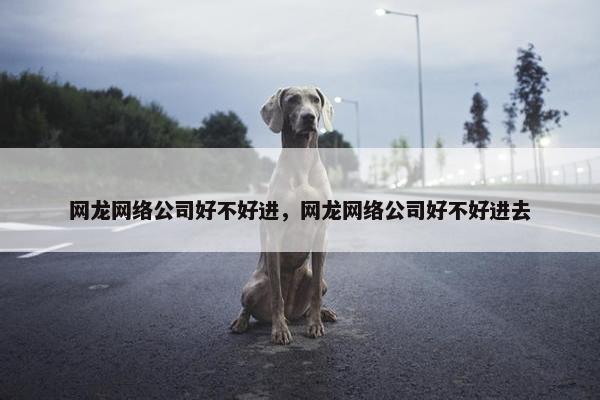 网龙网络公司好不好进，网龙网络公司好不好进去