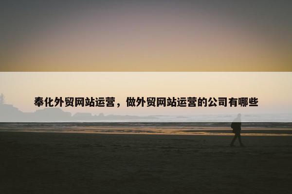 奉化外贸网站运营，做外贸网站运营的公司有哪些