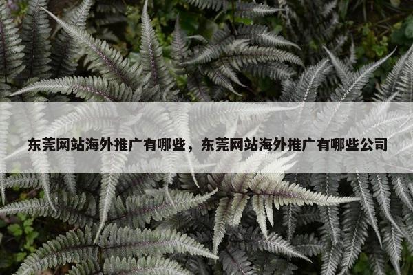 东莞网站海外推广有哪些，东莞网站海外推广有哪些公司