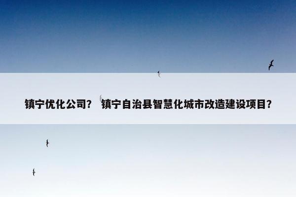 镇宁优化公司？ 镇宁自治县智慧化城市改造建设项目？