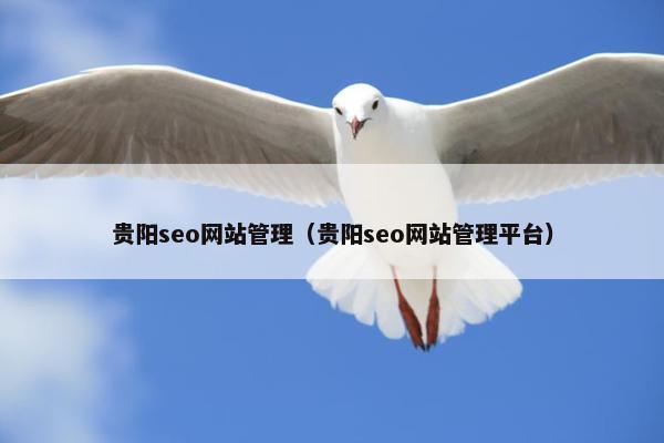 贵阳seo网站管理（贵阳seo网站管理平台）