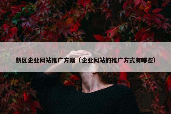新区企业网站推广方案（企业网站的推广方式有哪些）