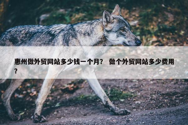 惠州做外贸网站多少钱一个月？ 做个外贸网站多少费用？