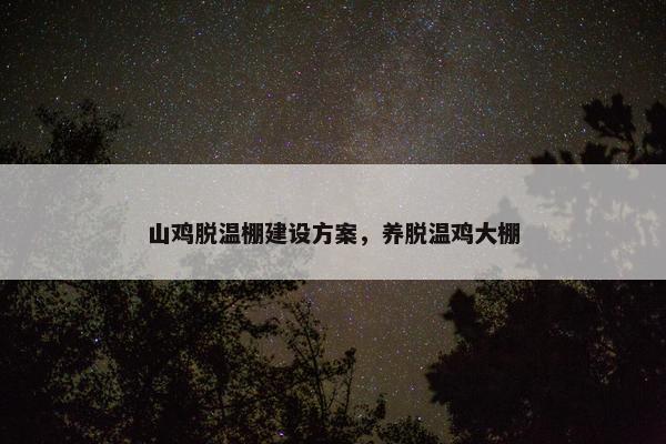 山鸡脱温棚建设方案，养脱温鸡大棚